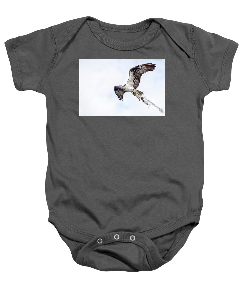 Crystal Yingling Baby Onesie featuring the photograph Taking It Home by Ghostwinds Photography