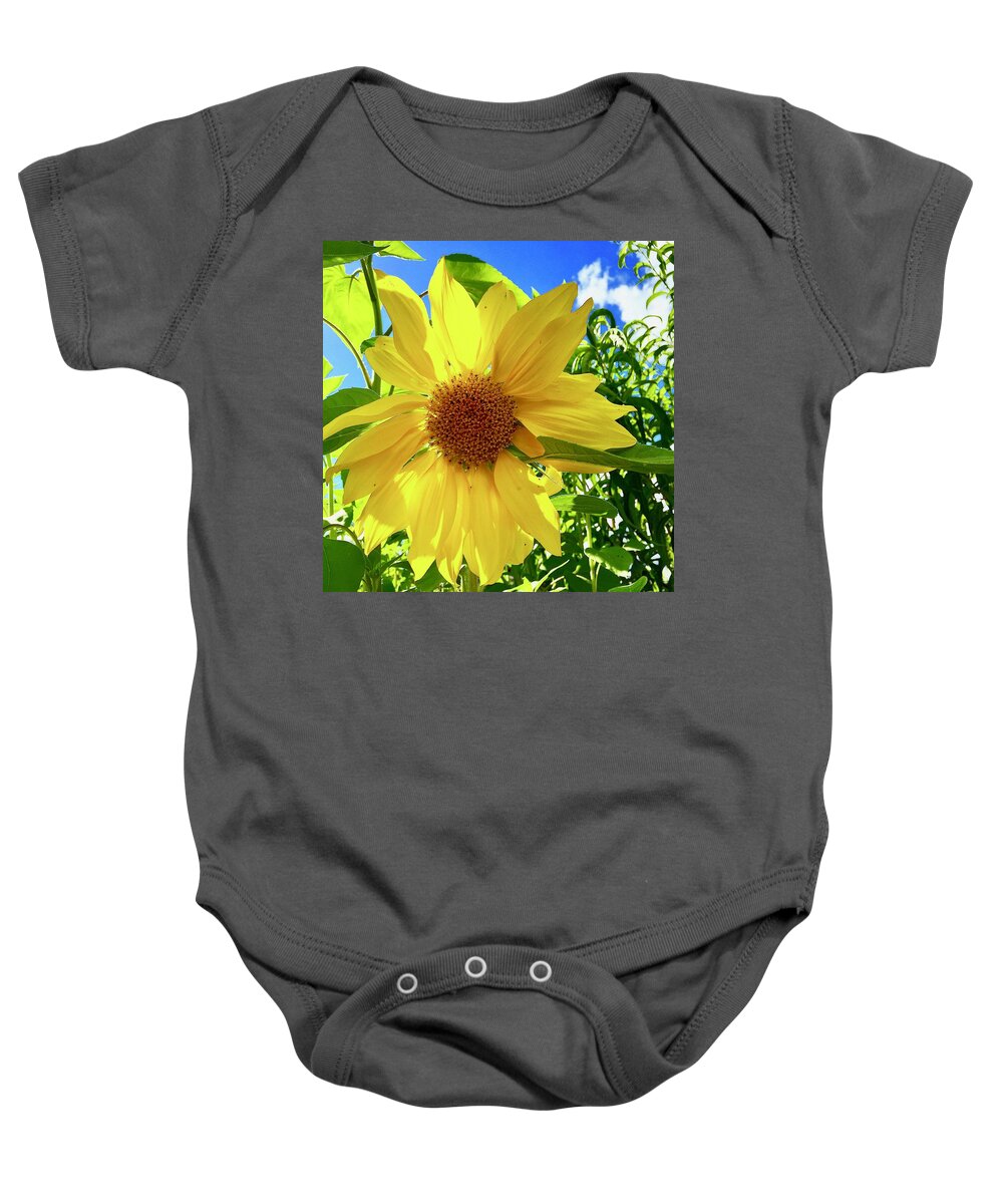 Sunflower Baby Onesie featuring the photograph Tangled Sunflower by Brian Eberly