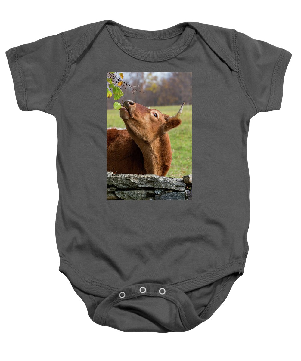  Baby Onesie featuring the photograph Tasty by Bill Wakeley