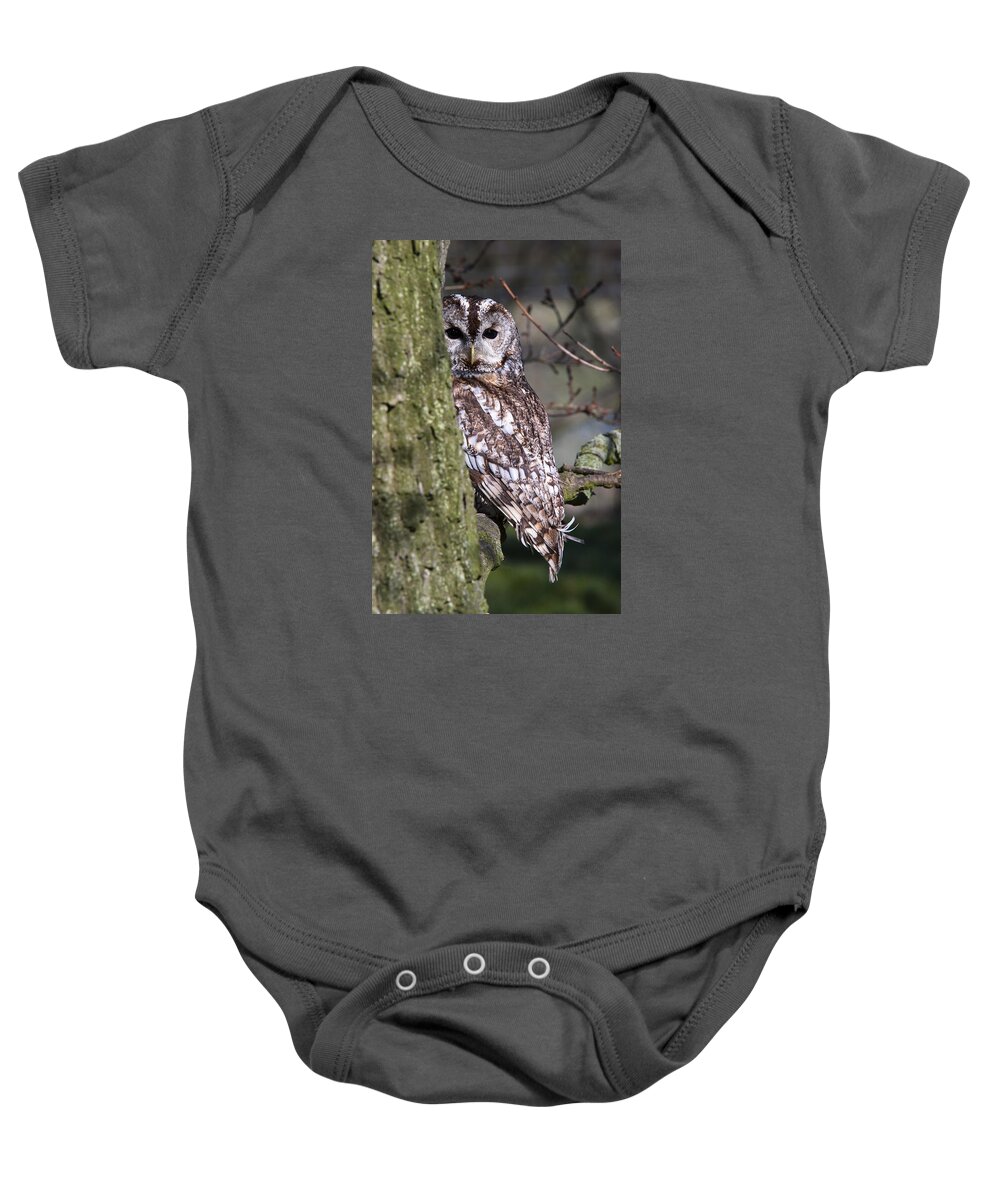 Tawny Owl Baby Onesie featuring the photograph Tawny Owl in a Woodland by Andy Myatt