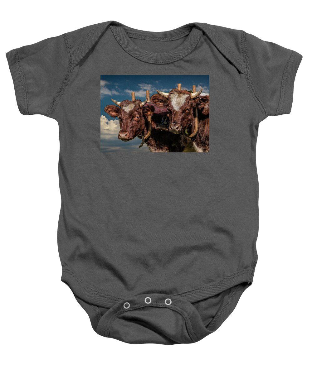Cattle Baby Onesie featuring the photograph Team of Oxen by Randall Nyhof