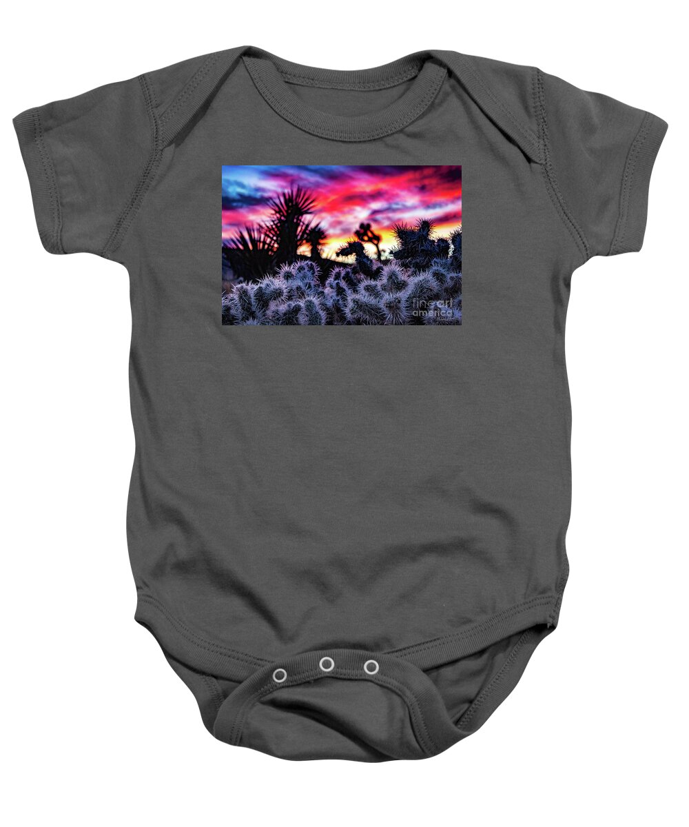 Landscape Baby Onesie featuring the photograph Teddy Bear Cholla by Adam Morsa