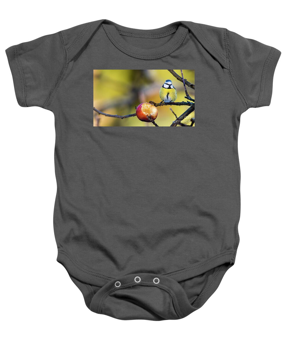 Cyanistes Caeruleus Baby Onesie featuring the photograph Tempting by Torbjorn Swenelius