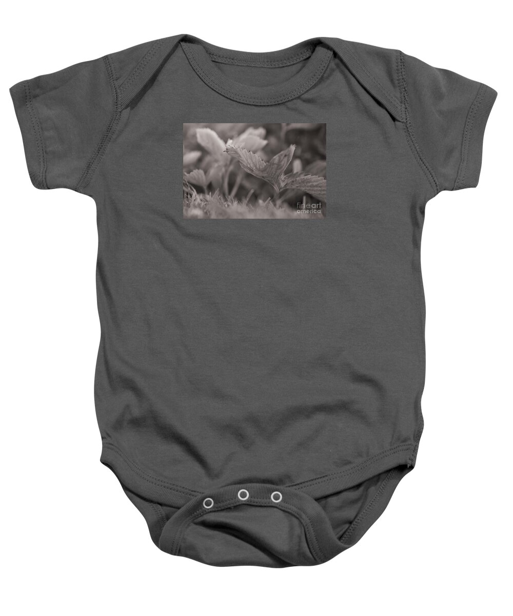 Plant Baby Onesie featuring the photograph The Allotment Project - Strawberry Plant by Clayton Bastiani