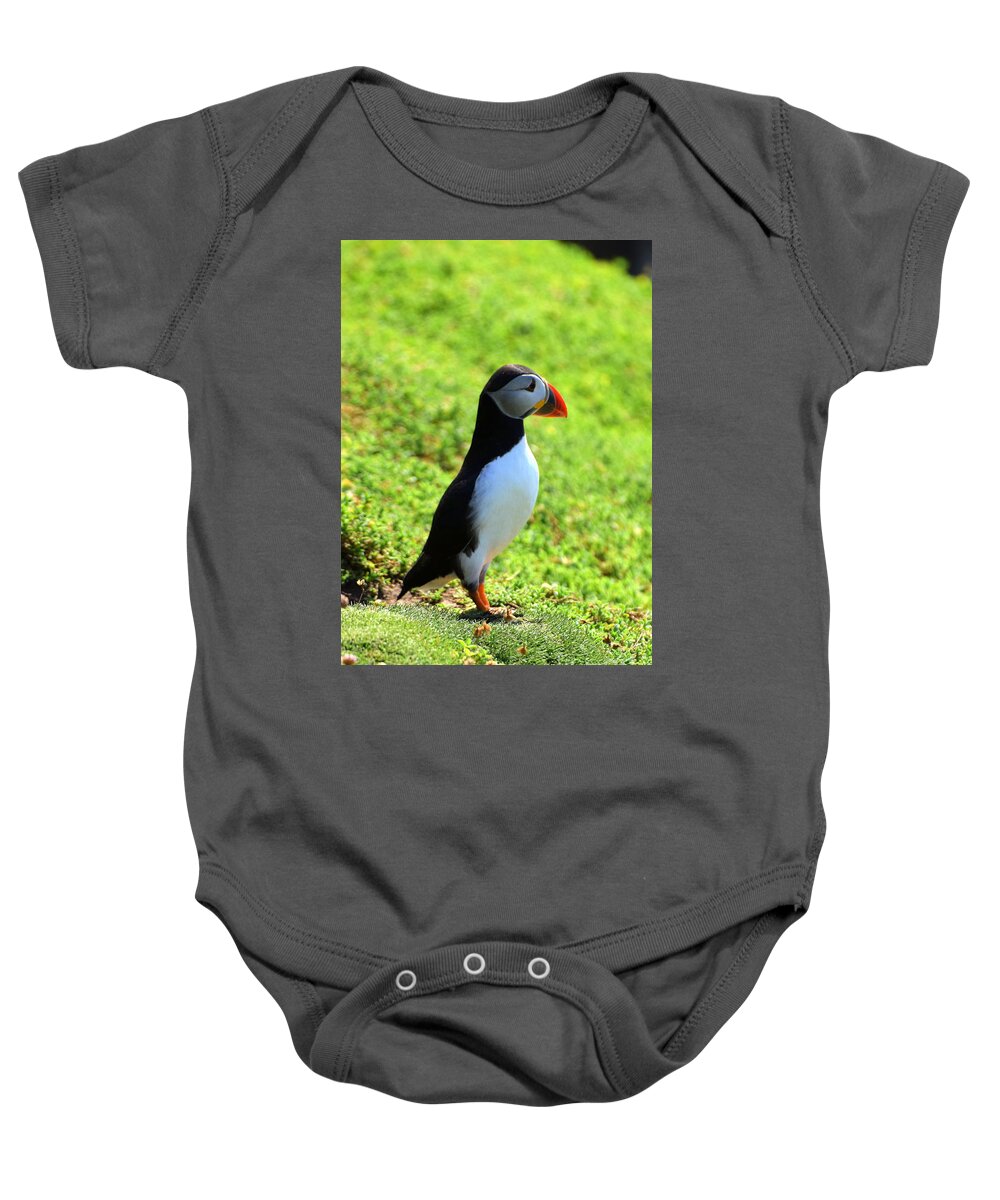 Puffin Baby Onesie featuring the photograph The Atlantic Puffin by Joe Cashin