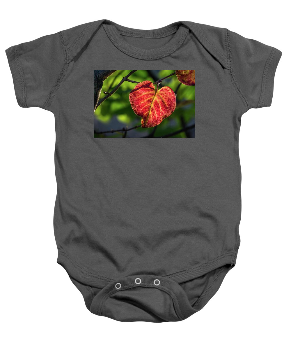 Fall Baby Onesie featuring the photograph The Autumn Heart by Bill Pevlor