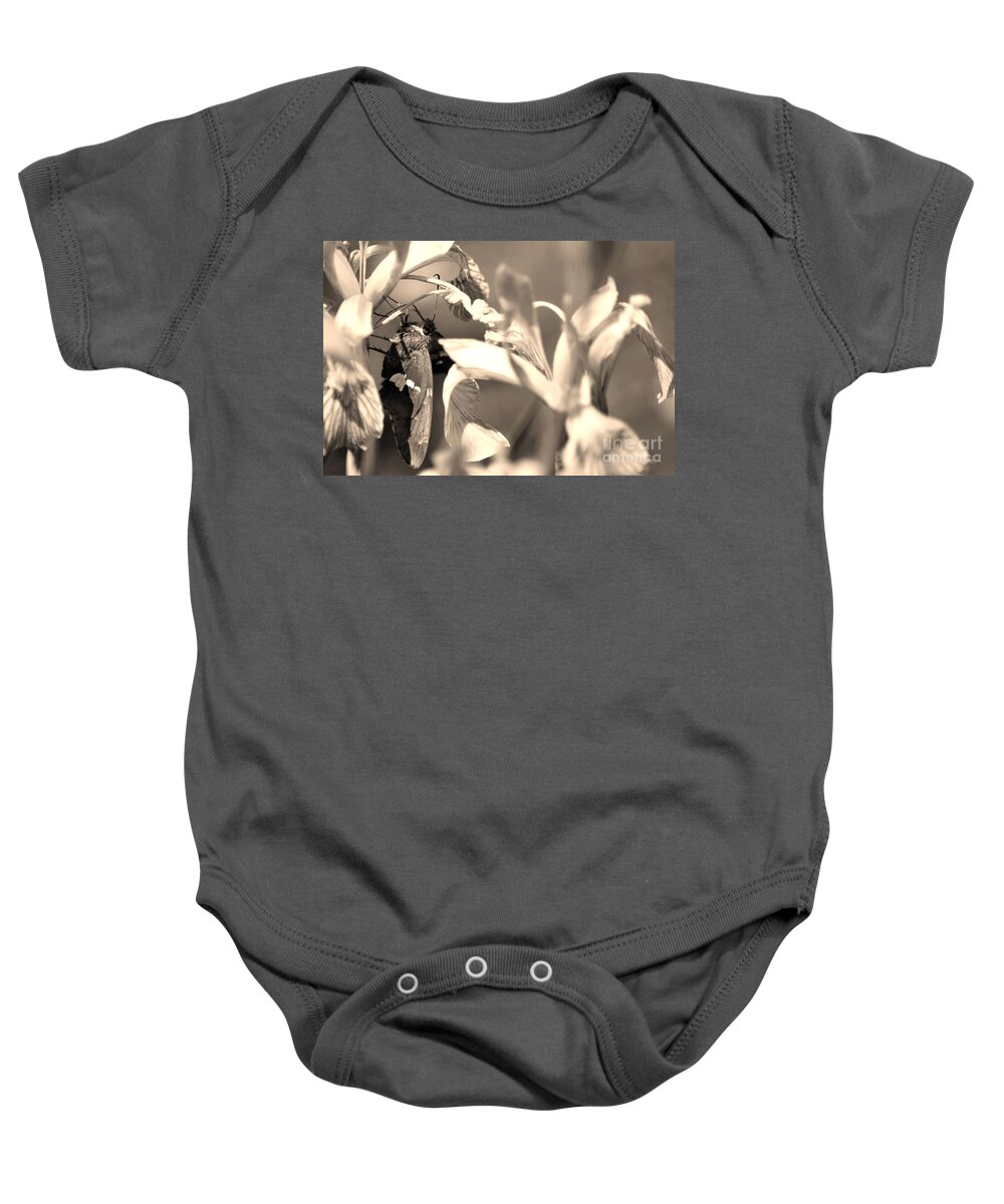 Fine Art Baby Onesie featuring the photograph The Butterfly by Donna Greene