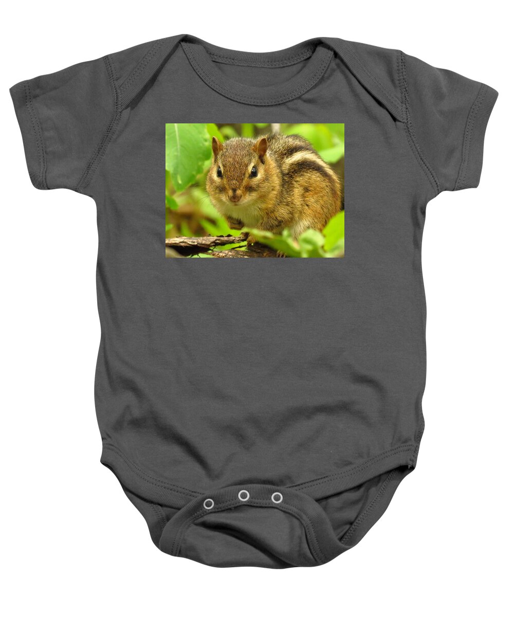Chipmunk Baby Onesie featuring the photograph The Chipster by Lori Frisch