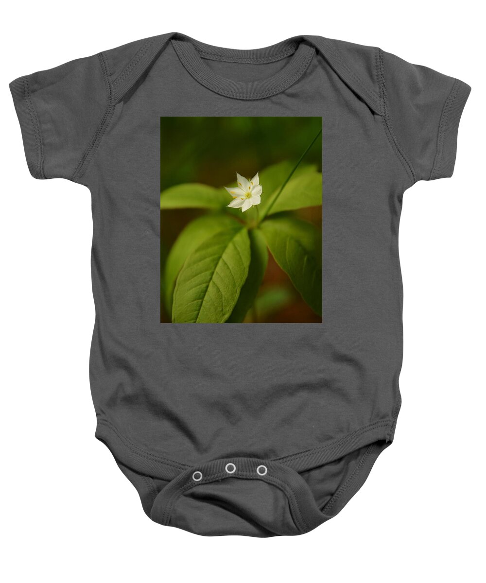 Flower Baby Onesie featuring the photograph The Flower of the Dark Woods by Harry Moulton