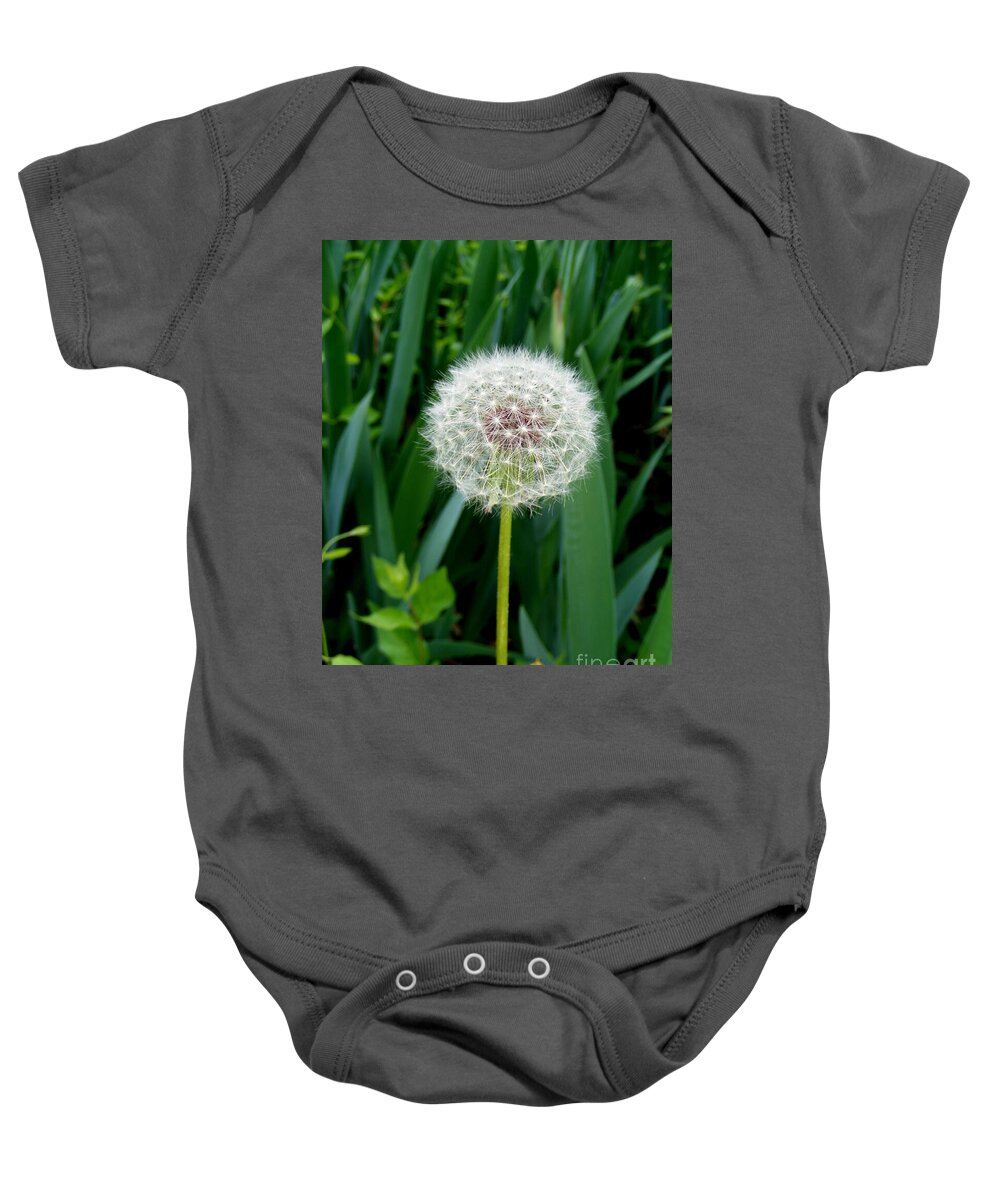 Photography Baby Onesie featuring the photograph The Grand Finale by Nancy Kane Chapman