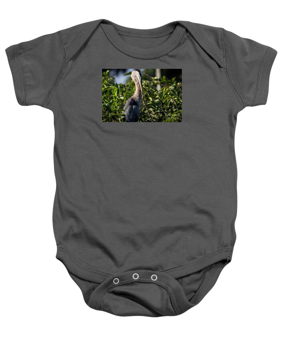 Nature Baby Onesie featuring the photograph The Great Blue Heron by George Kenhan