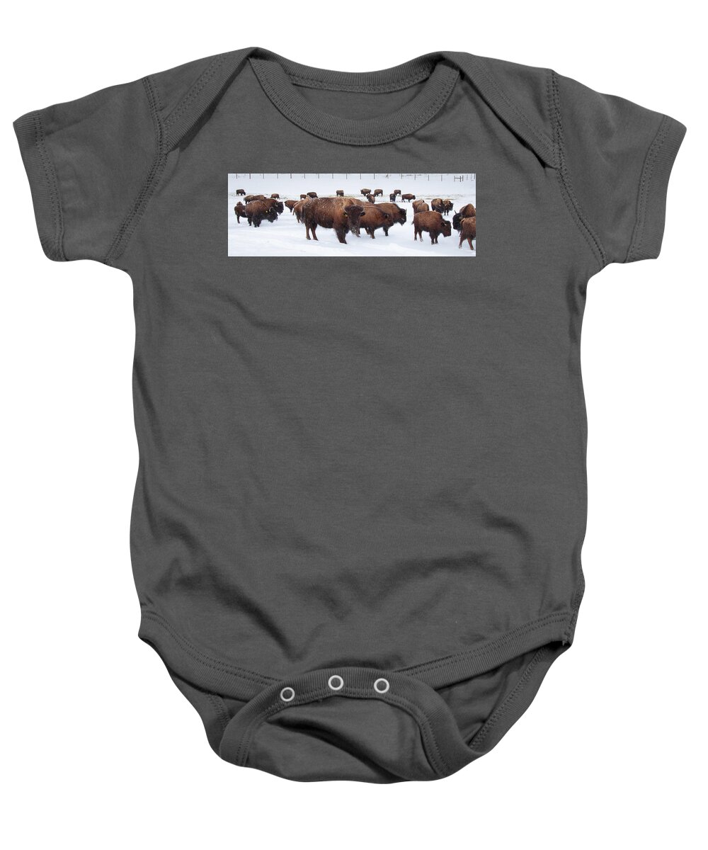 Mountains Baby Onesie featuring the photograph The Herd by Sean Allen