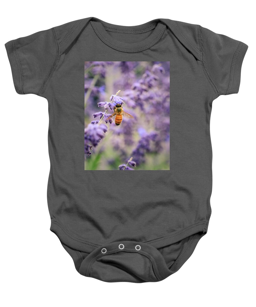 College Church Baby Onesie featuring the photograph The Honey Bee and the Sage by Joni Eskridge