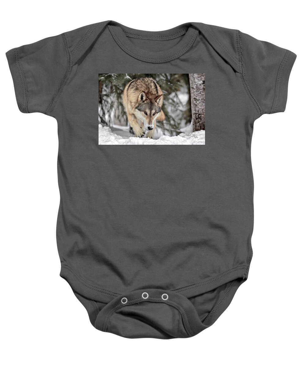The Seeker Baby Onesie featuring the photograph The Seeker by Wes and Dotty Weber