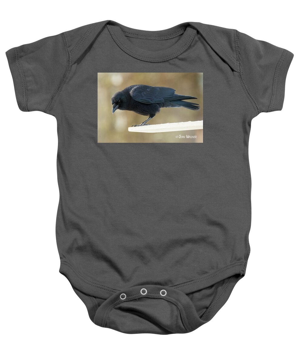 Minnesota Baby Onesie featuring the photograph The Stare Down by Joan Wallner