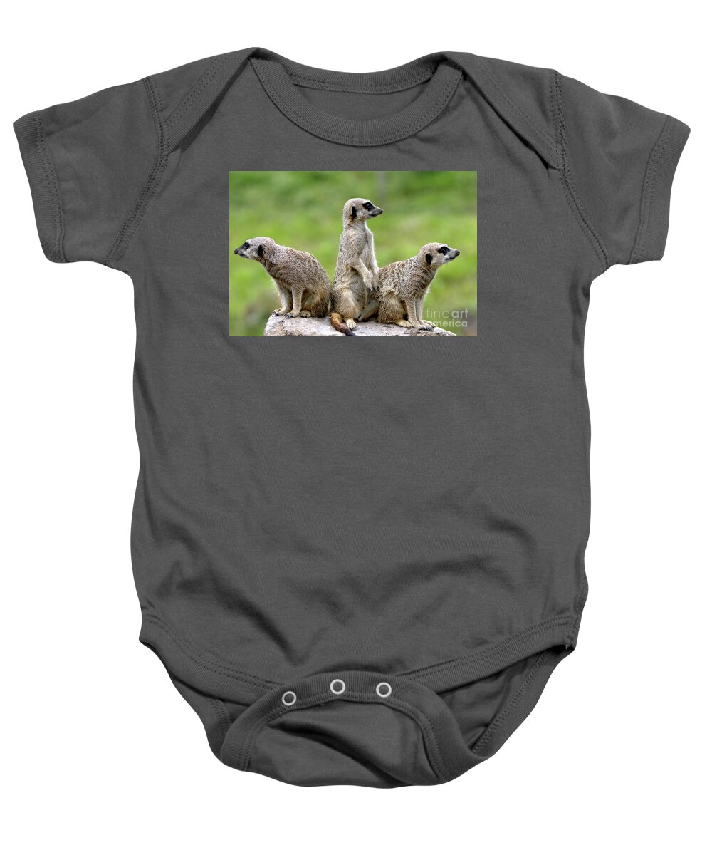 Small Baby Onesie featuring the photograph The Wild Bunch by Baggieoldboy