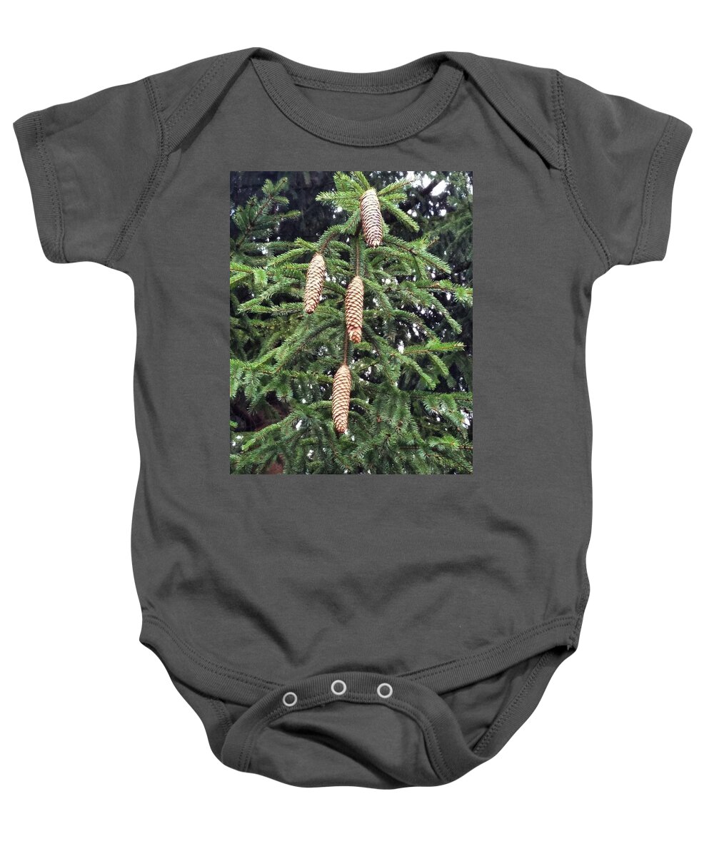 Pinecone Baby Onesie featuring the photograph Then There Were Four by Vic Ritchey