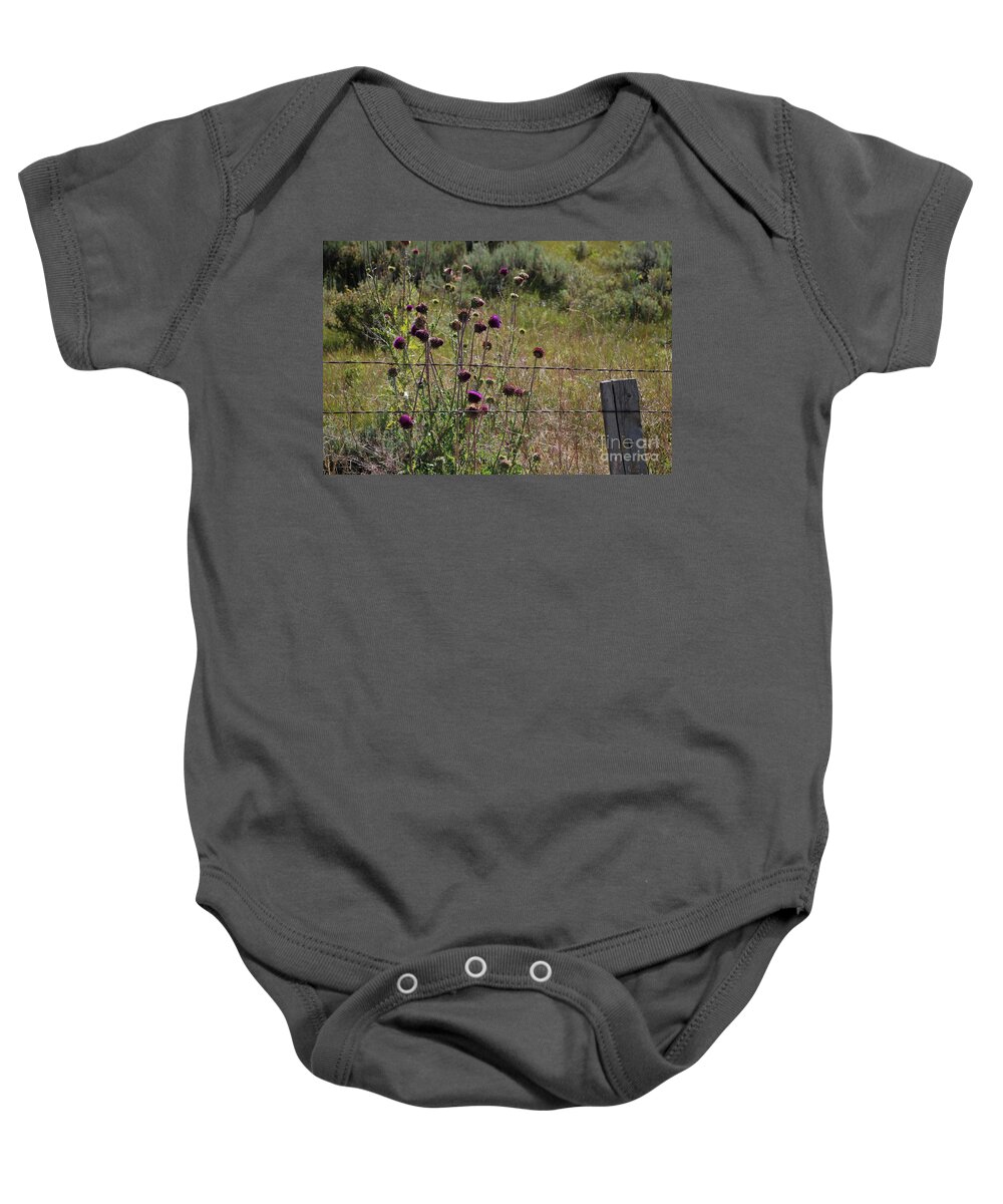 Thistle Baby Onesie featuring the photograph Thistle and Barbed Wire by Jim Goodman