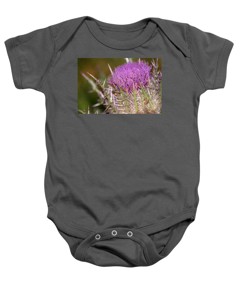 Thistle And Thorns Baby Onesie featuring the photograph Thistle and Thorns by Warren Thompson