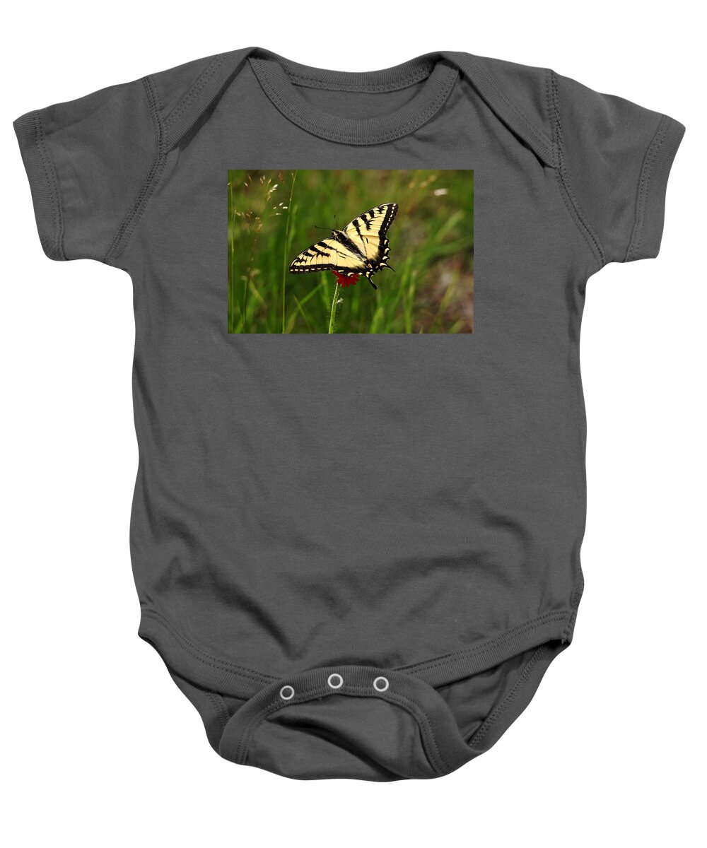Canadian Tiger Swallowtail Baby Onesie featuring the photograph Tiger Stripes by Debbie Oppermann
