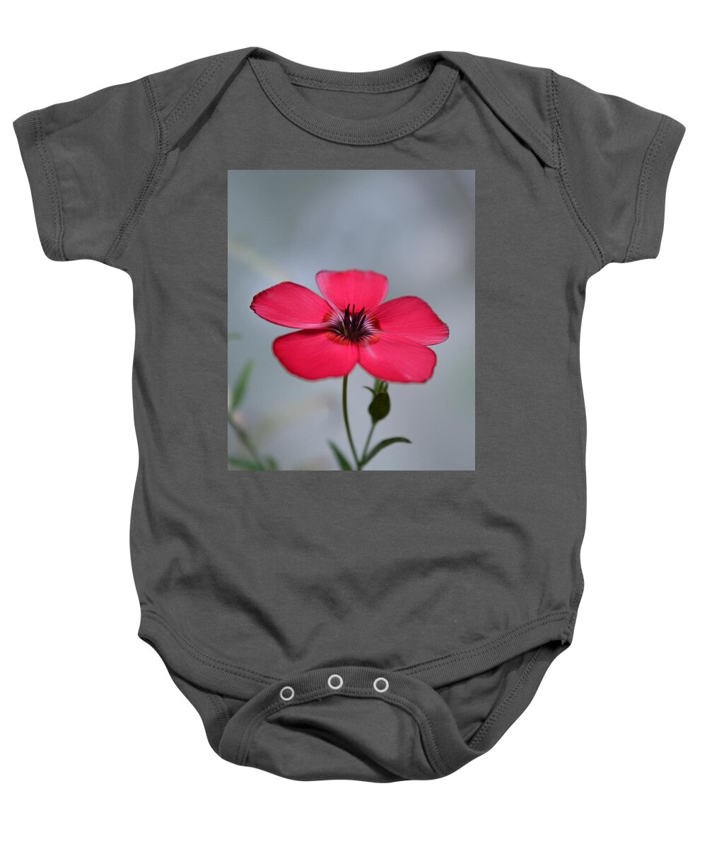 Flower Baby Onesie featuring the photograph Tiny Flower by Dani McEvoy