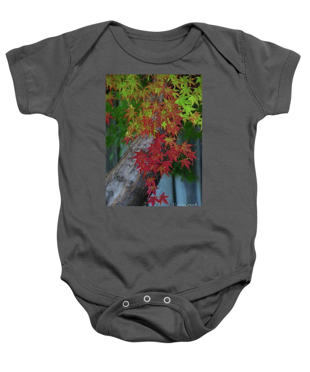 Transitioning Baby Onesie featuring the photograph Transitioning by Yumi Johnson
