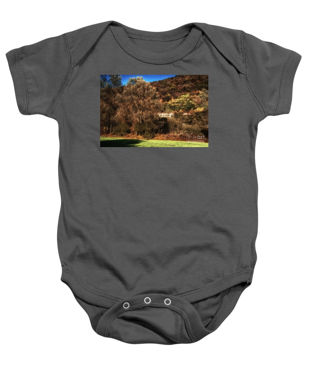Tree Baby Onesie featuring the photograph Tree-covered slope in fall. by Claudio Lepri