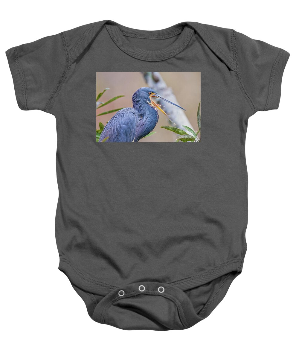 Nature Baby Onesie featuring the photograph Tricolored Heron Yawning UP CLOSE by DB Hayes