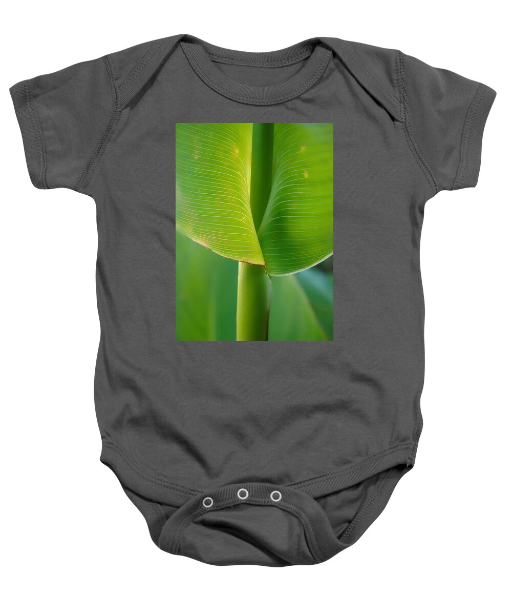 Tropical Baby Onesie featuring the photograph Tropical Green by Donna Blackhall