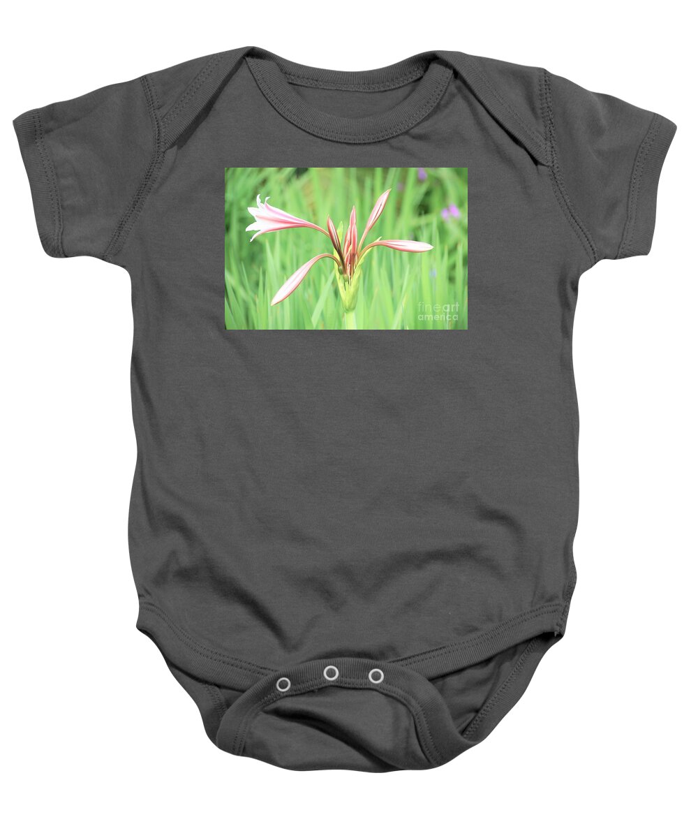Flowers Baby Onesie featuring the photograph Trumpet by Merle Grenz