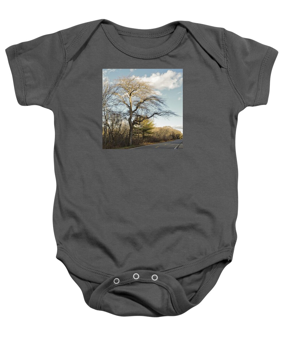 Cape Cod Baby Onesie featuring the photograph Tupelo Tree by Frank Winters