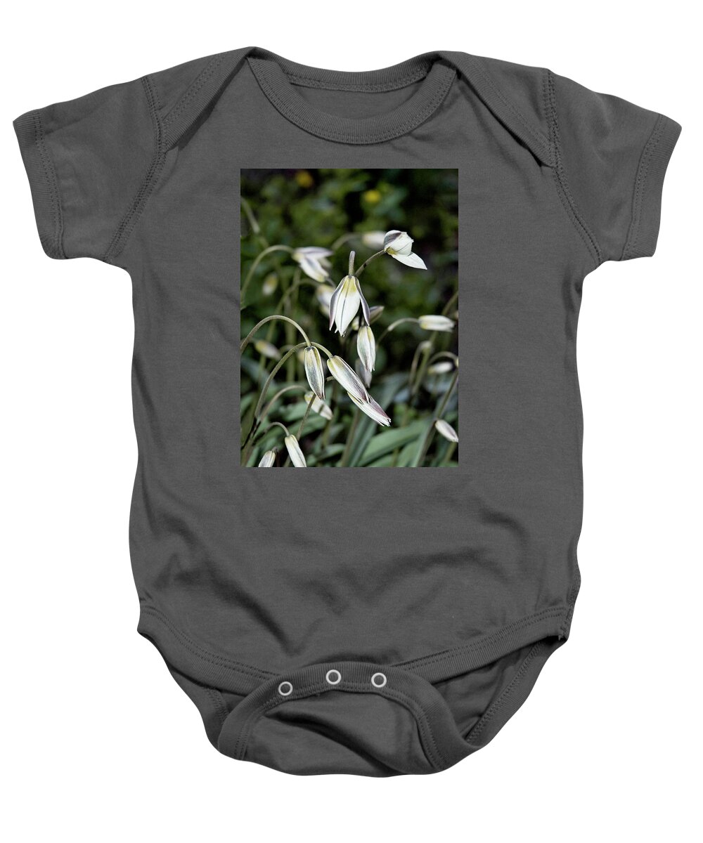 Flowers Baby Onesie featuring the photograph Tulipa Turkestanica by JGracey Stinson