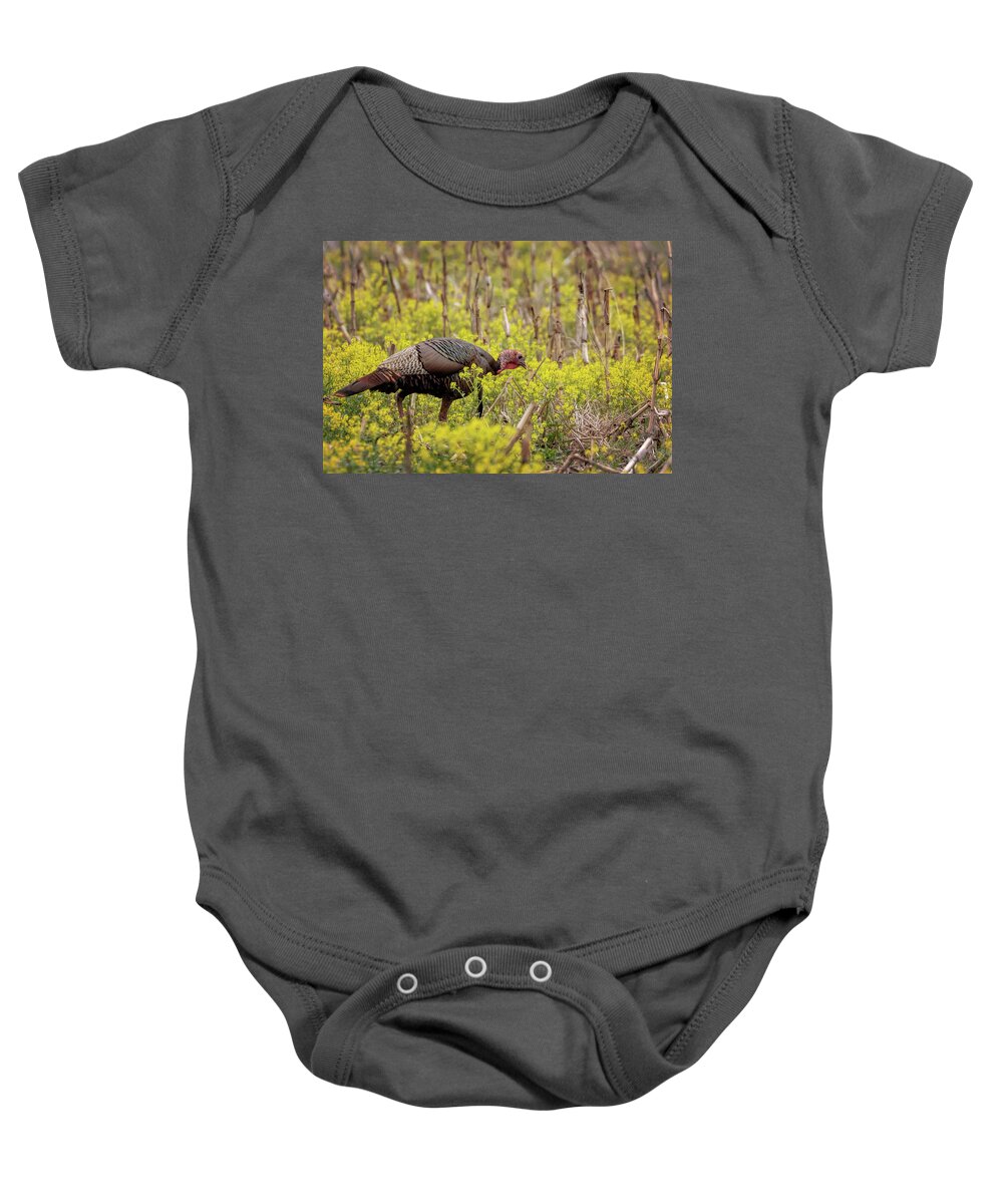 Turkey Baby Onesie featuring the photograph Turkey in the Goldenrod #1 by Susan Rissi Tregoning