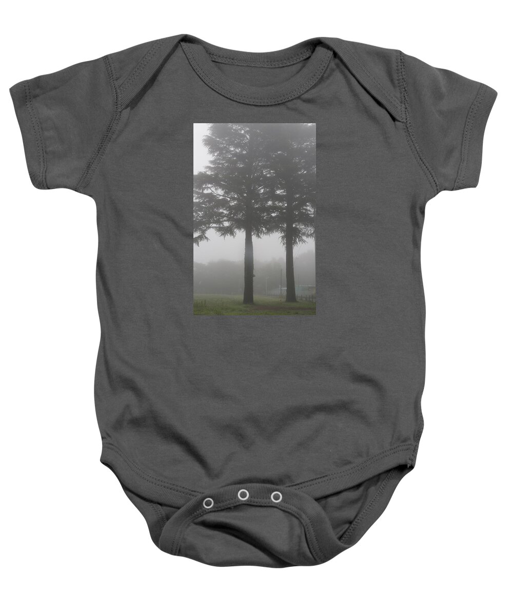 Morning Baby Onesie featuring the photograph Twin Trees by Masami Iida