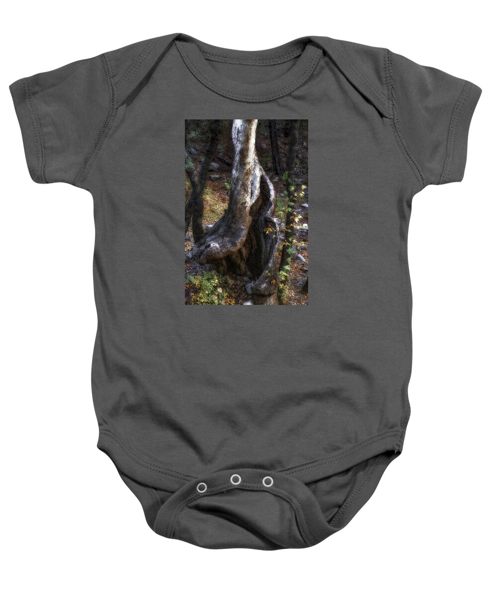 Tree; Leaves; Forest; Orange; Arizona Baby Onesie featuring the photograph Twisted Trunk, Santa Rita Mountains, Arizona by Michael Newberry