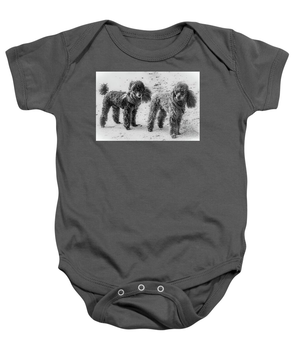 Bird Key Park Baby Onesie featuring the photograph Two Toys B/W by Richard Goldman