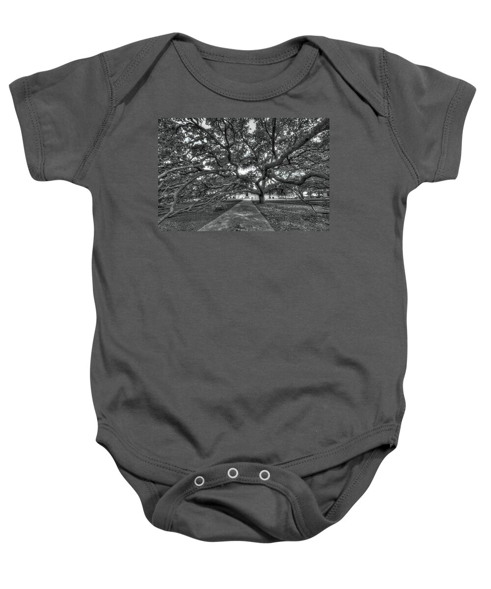 Century Tree Baby Onesie featuring the photograph Under the Century Tree - Black and White by David Morefield