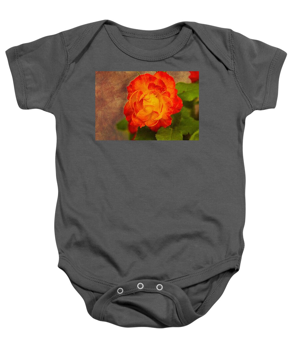 Variegated Baby Onesie featuring the photograph Variegated Beauty - Rose Floral by Barry Jones