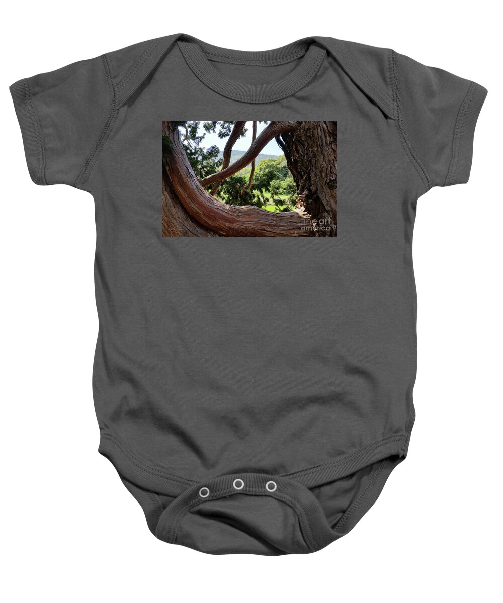 Filoli Baby Onesie featuring the photograph View through the Tree by Carol Lynn Coronios