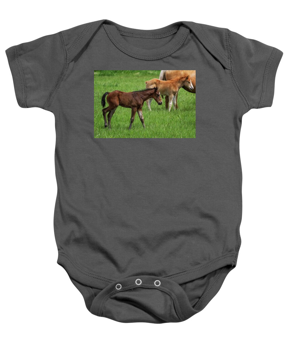 Horses Baby Onesie featuring the photograph Waiting on a Friend, No. 2 by Belinda Greb