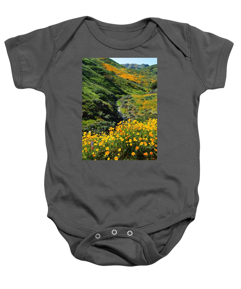 Poppies Baby Onesie featuring the photograph Walker Canyon Vista by Glenn McCarthy Art and Photography