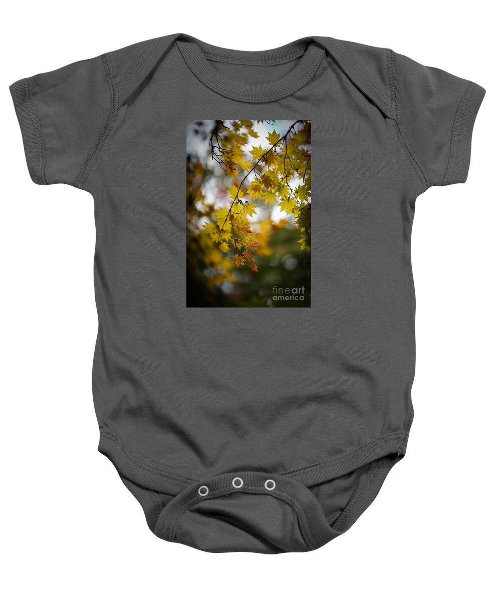 Leaves Baby Onesie featuring the photograph Walks in the Autumn Garden by Mike Reid