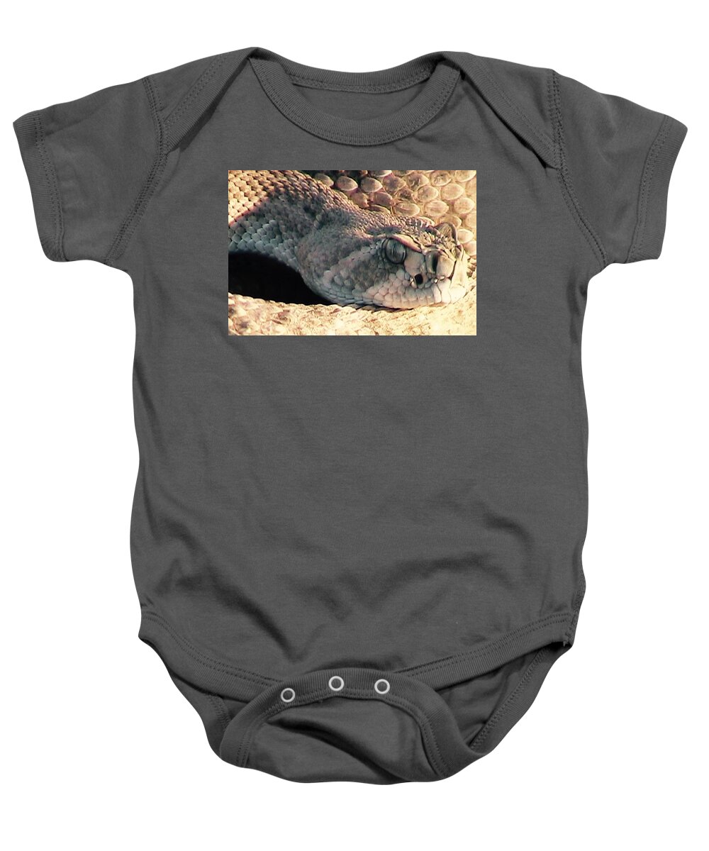  Rattlers Baby Onesie featuring the photograph Watch Out by Judy Kennedy