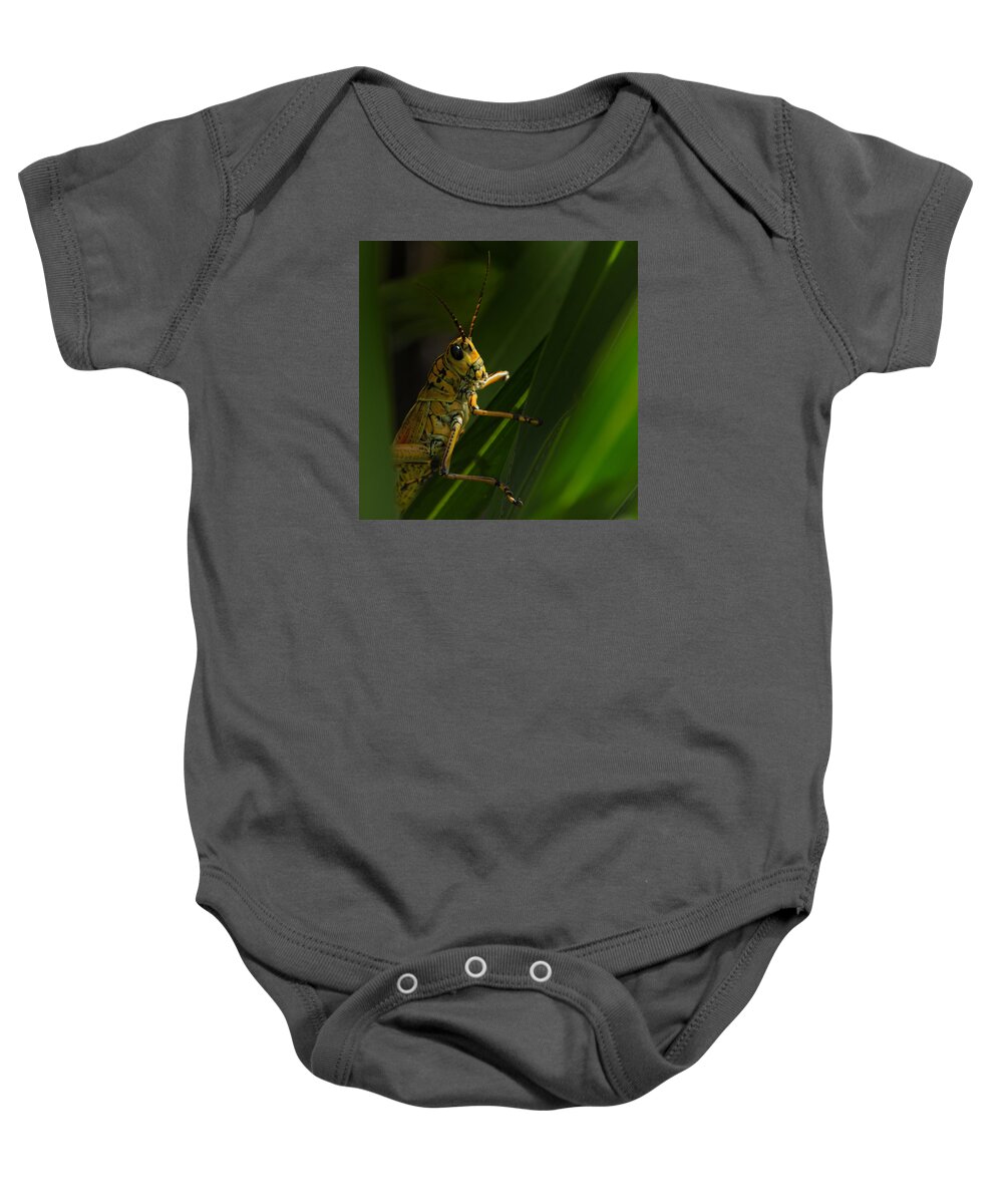 Grasshopper Baby Onesie featuring the photograph Watcher in the Grass by Mitch Spence