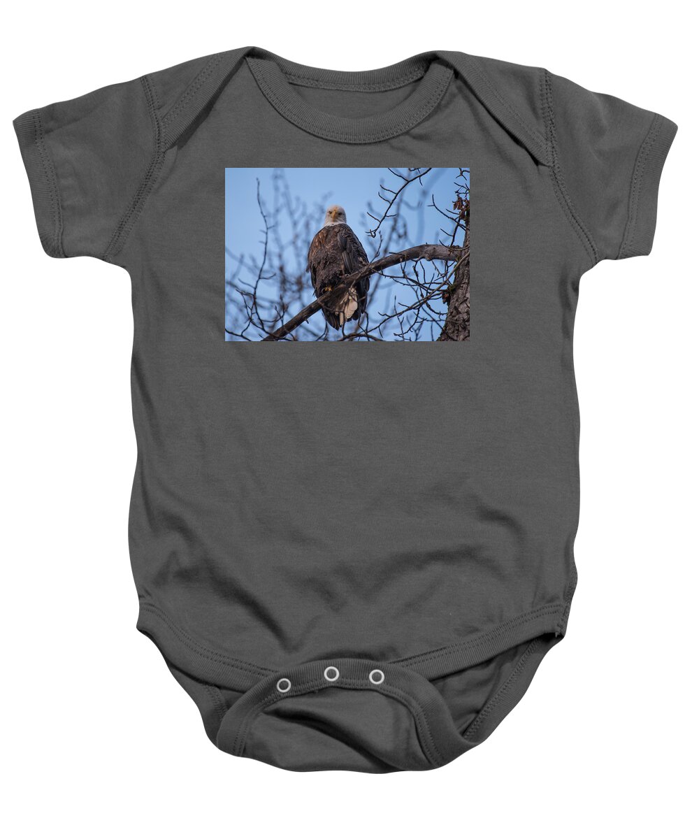 Bald Eagle Baby Onesie featuring the photograph Watching by David Kirby