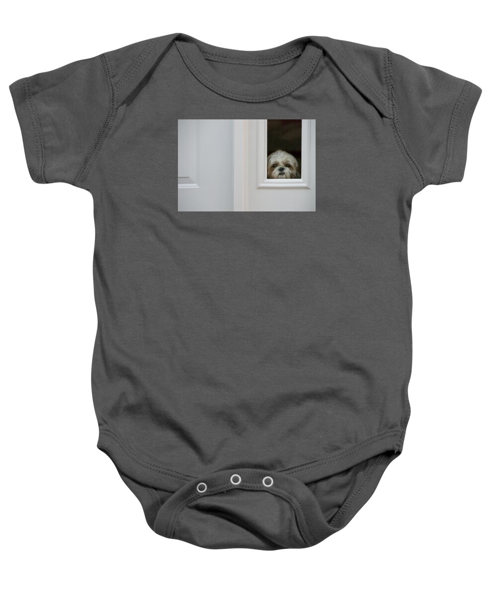 Dog Baby Onesie featuring the photograph Welcome Home by Mitch Spence