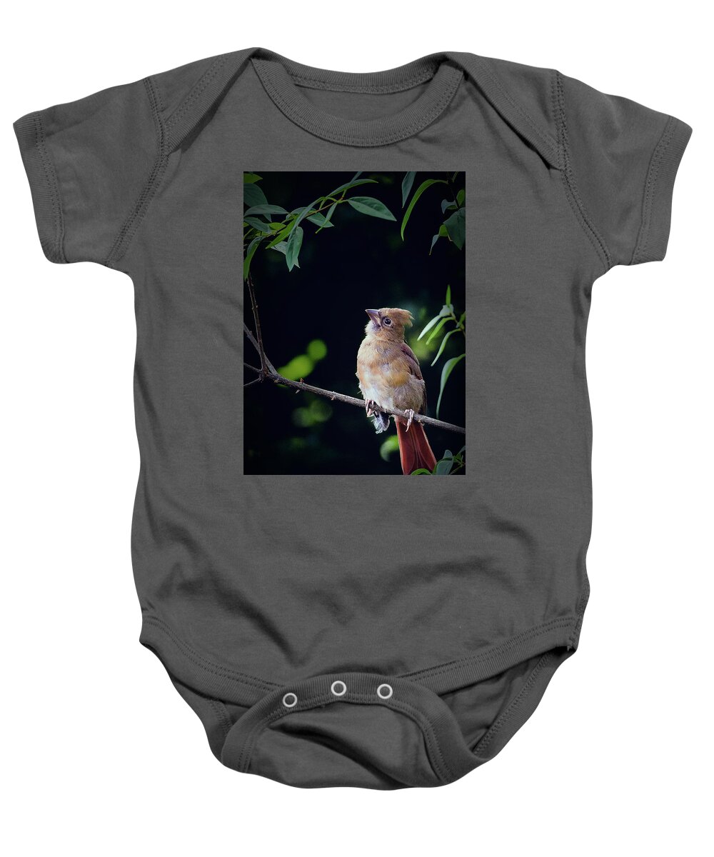 Northern Cardinal Baby Onesie featuring the photograph When God Speaks by Annette Hugen