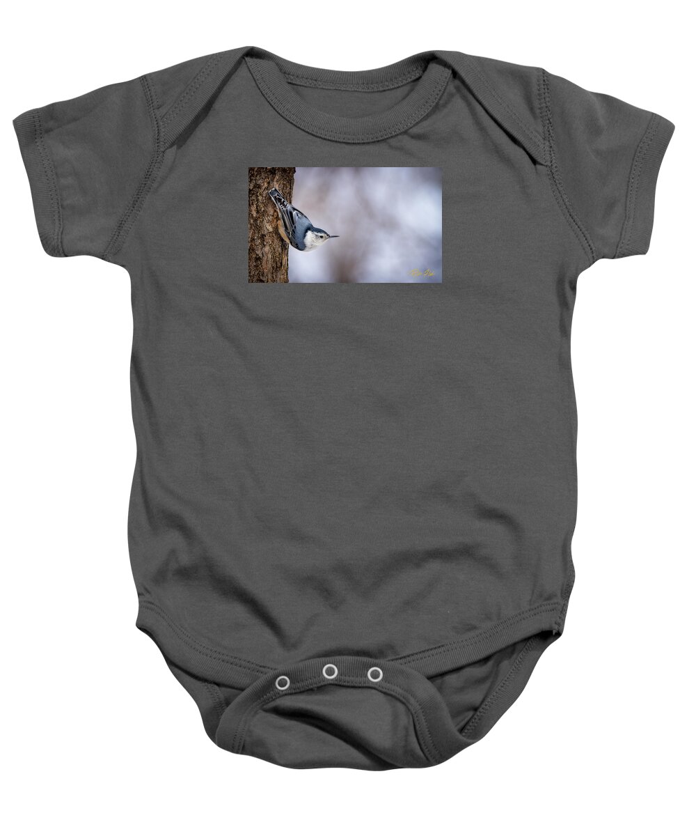 Animals Baby Onesie featuring the photograph White-breasted Nuthatch by Rikk Flohr