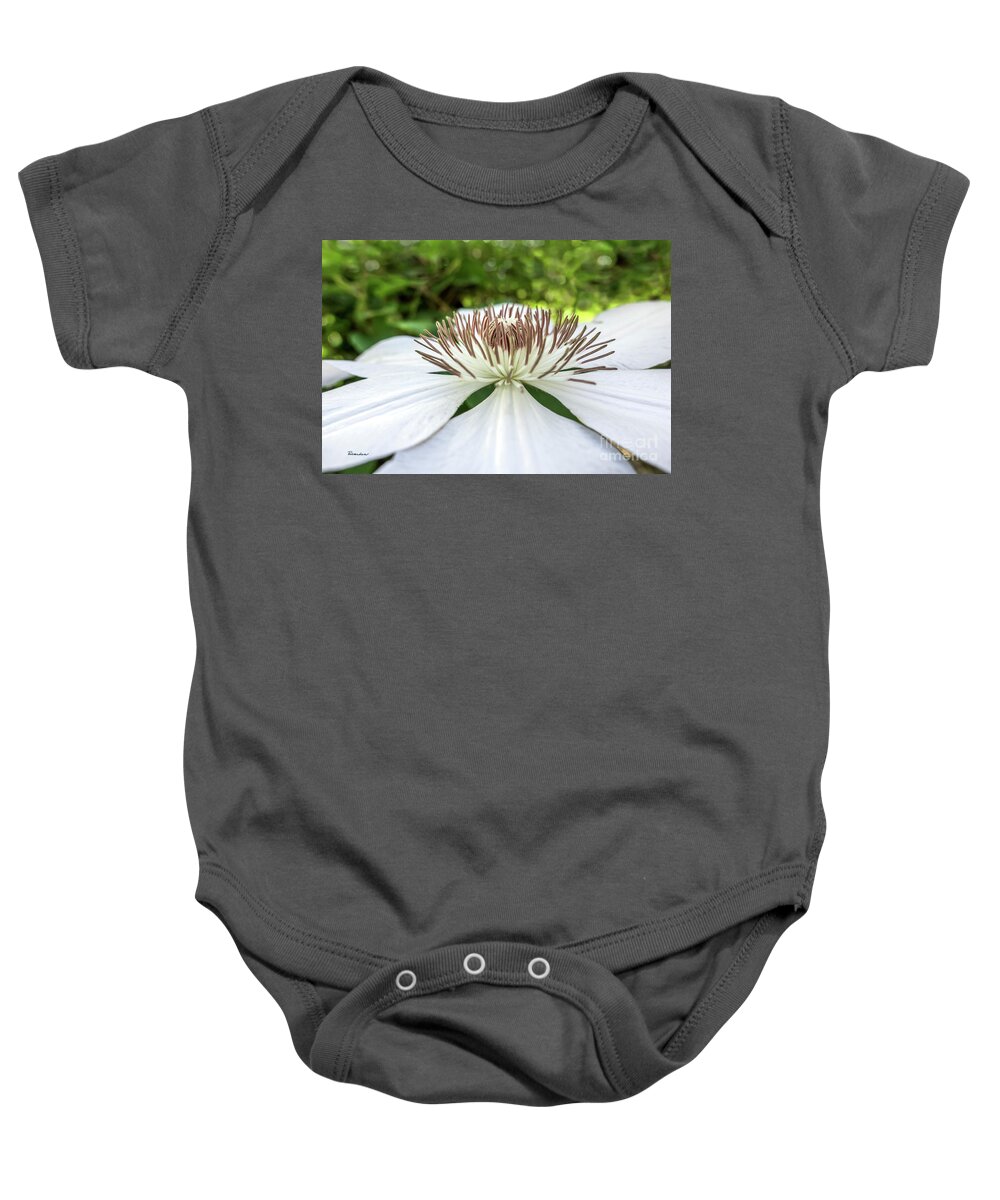 50146 Baby Onesie featuring the photograph White Clematis Flower Garden 50146 by Ricardos Creations