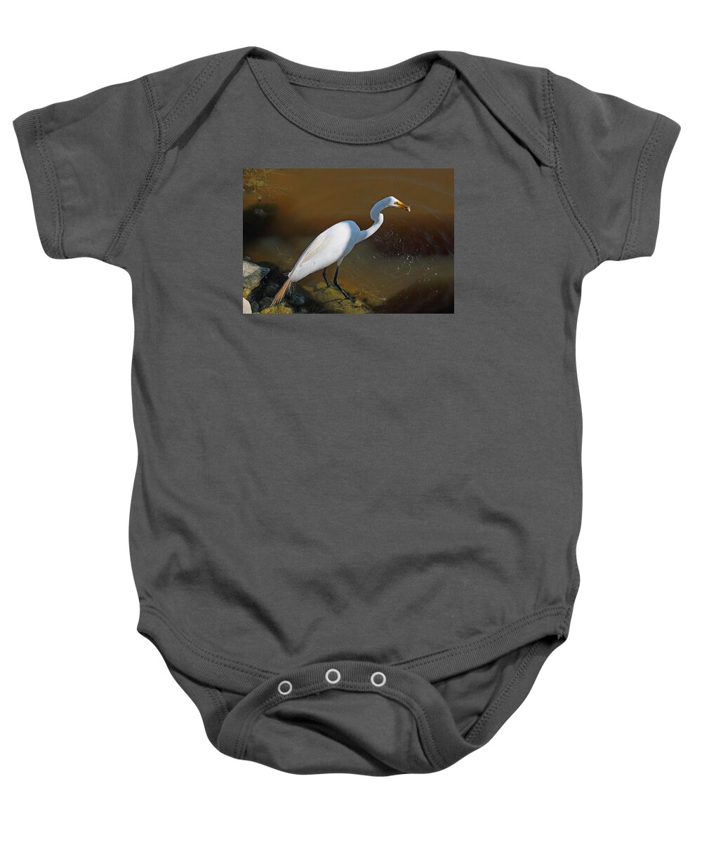 Photograph Baby Onesie featuring the photograph White Egret Fishing for Midday Meal by Suzanne Gaff